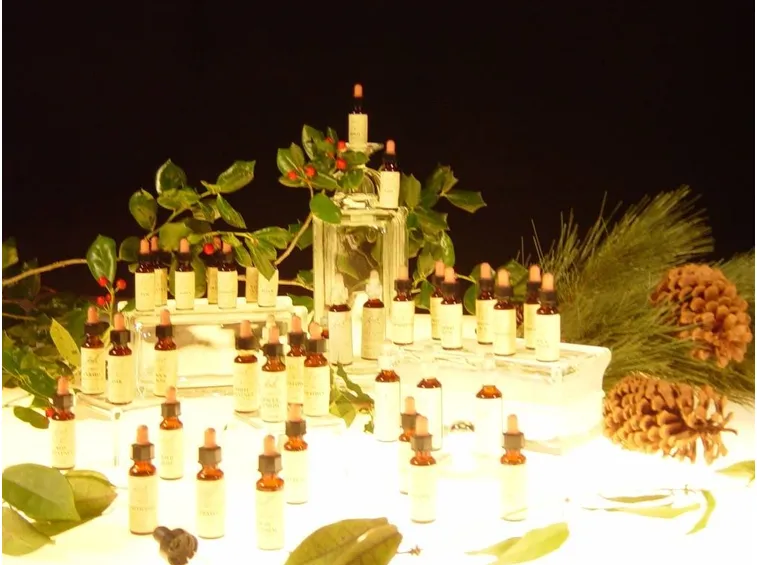 Fiori di Bach bambini