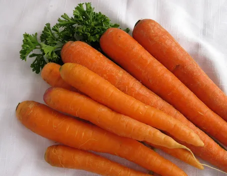 Carota