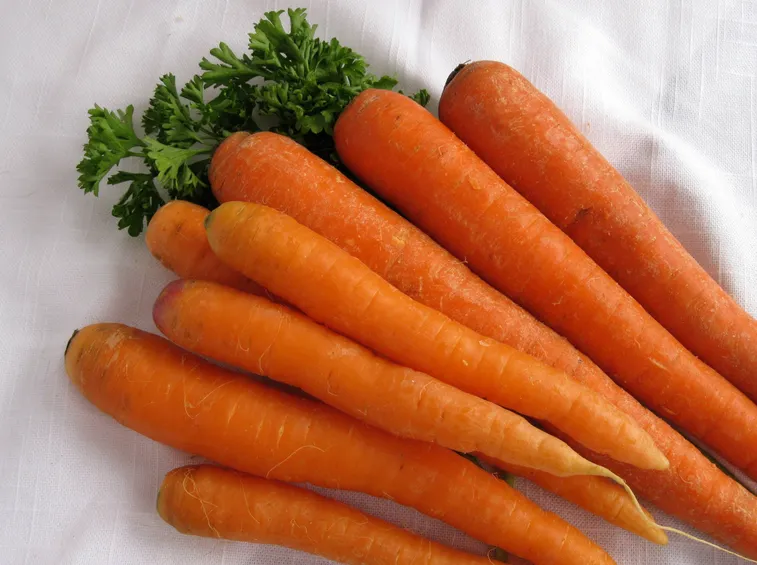 Carota