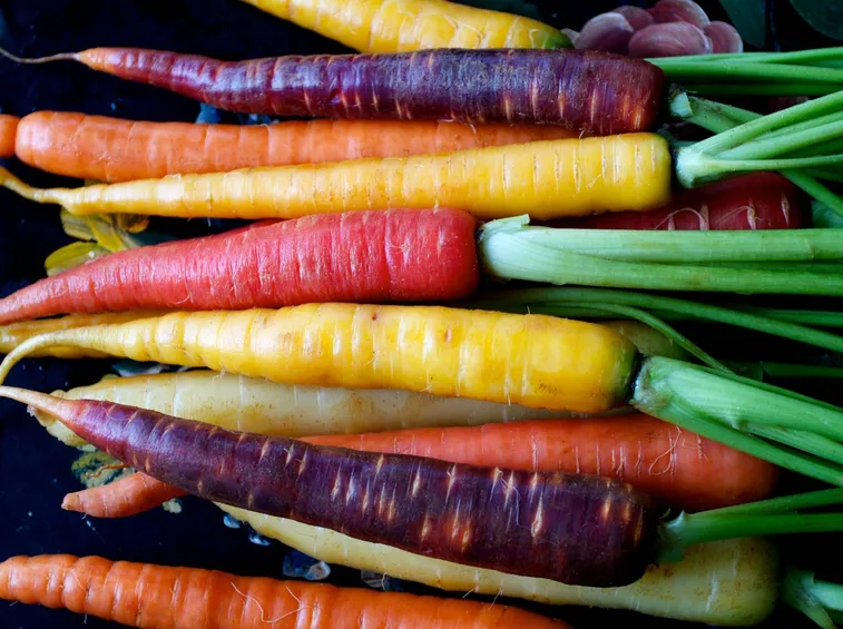 Carota