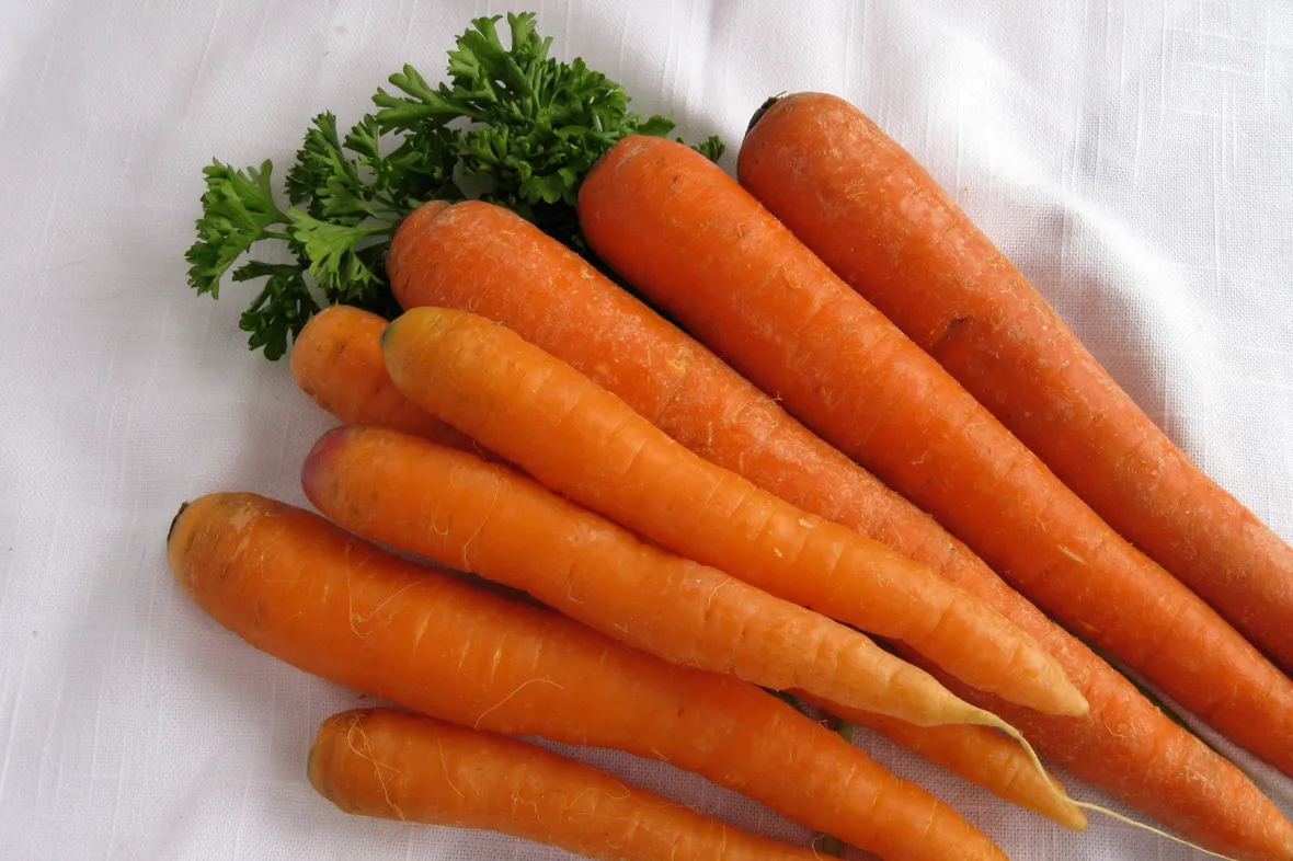 Carota