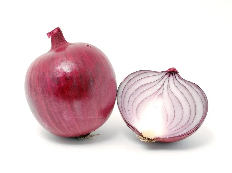cipolla rossa