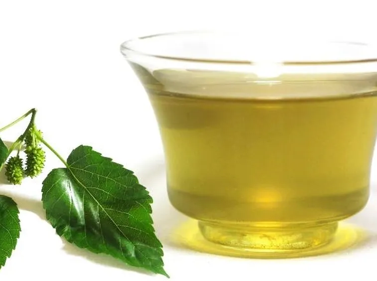 infuso di gelso