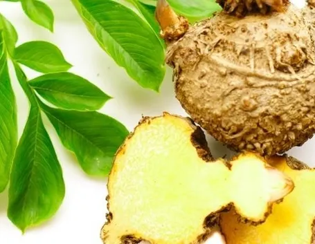 Proprietà curative del glucomannano