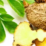 Proprietà curative del glucomannano