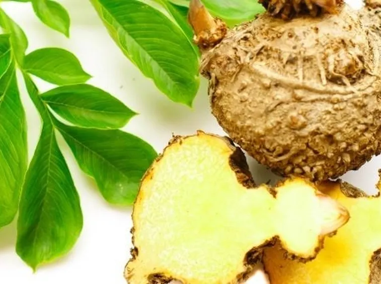 Proprietà curative del glucomannano
