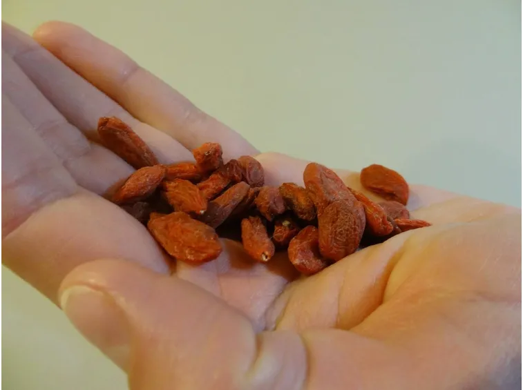 Bacche di Goji