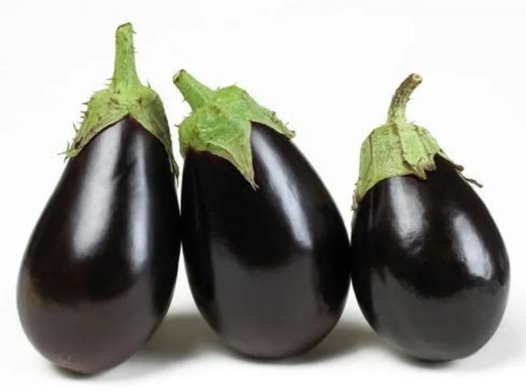 melanzana classica
