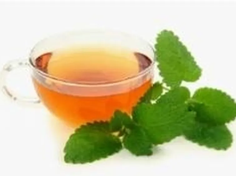 infuso-di-melissa