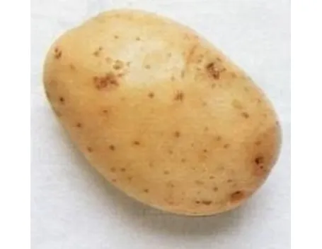 patata
