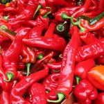 Peperoncino