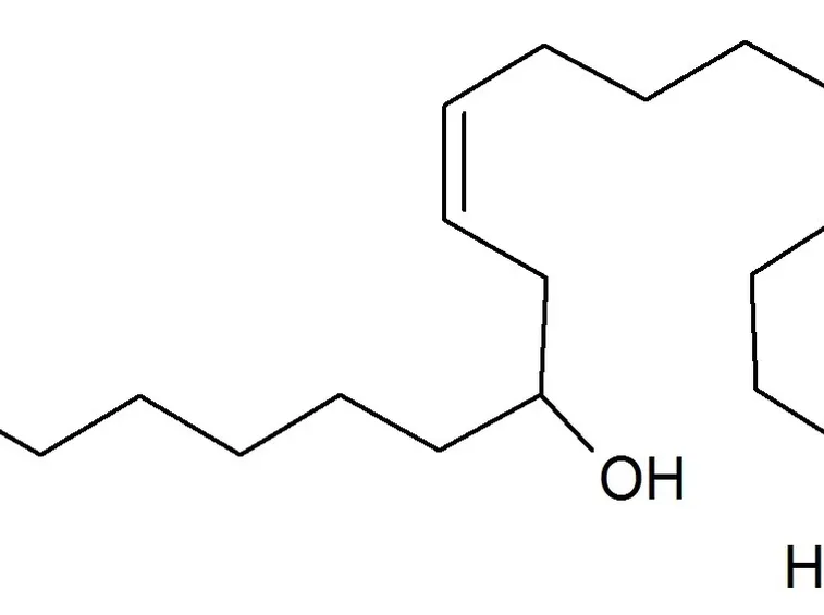 Struttura molecolare dell'acido ricinoleico