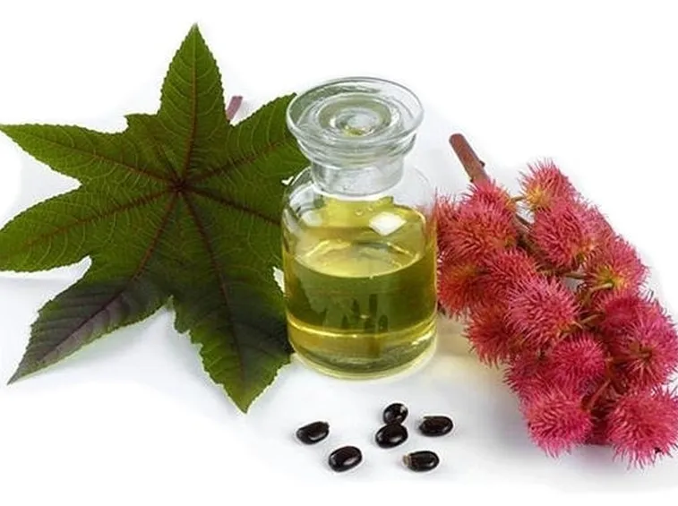 Come si presenta l'olio di ricino