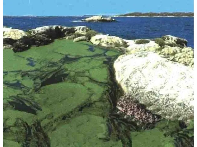 La spirulina nel suo ambiente naturale