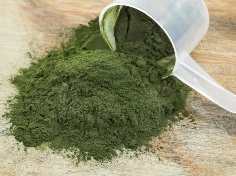 spirulina in polvere