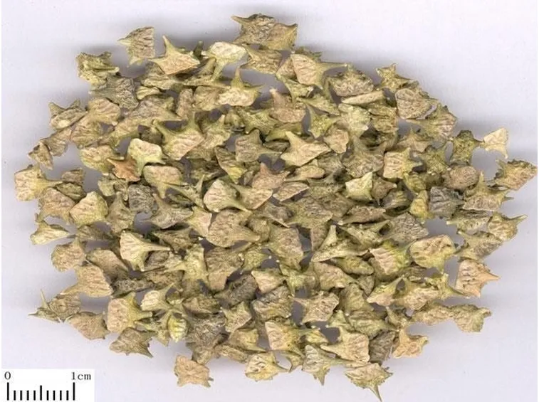 Estratto di Tribulus Terrestris