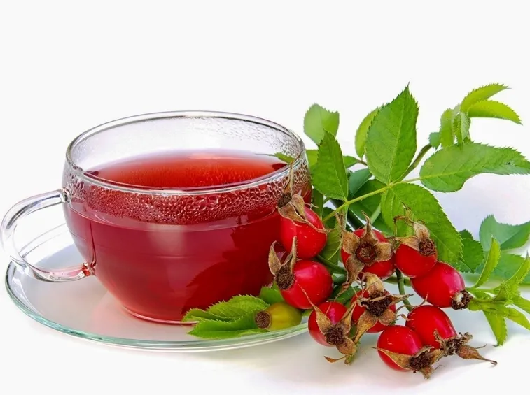 Infuso di rosa canina
