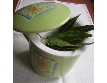 foglie alloro