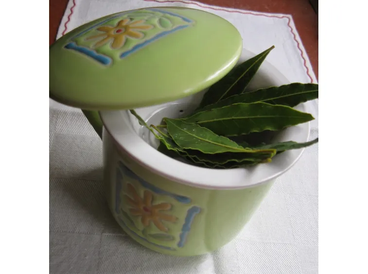 foglie alloro