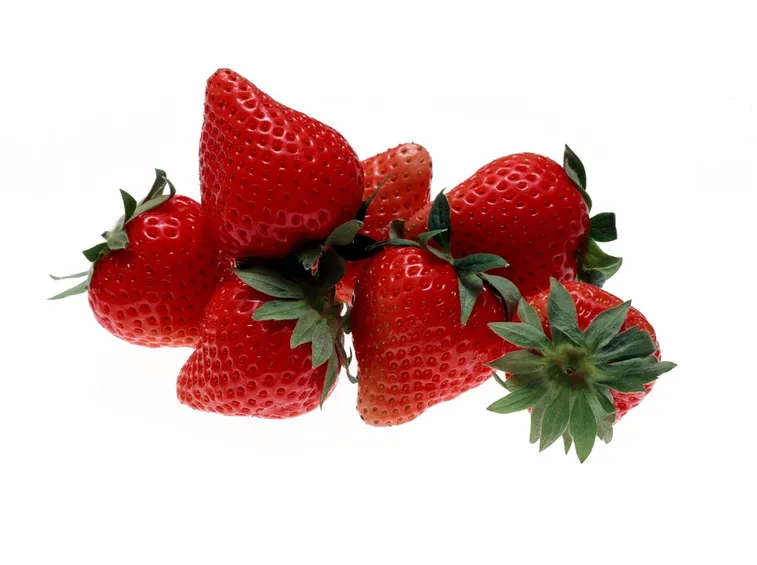 Fragole