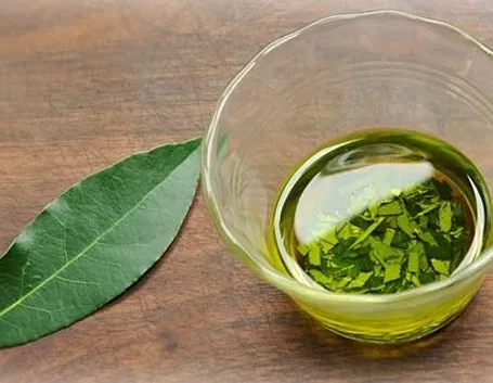 infuso di alloro