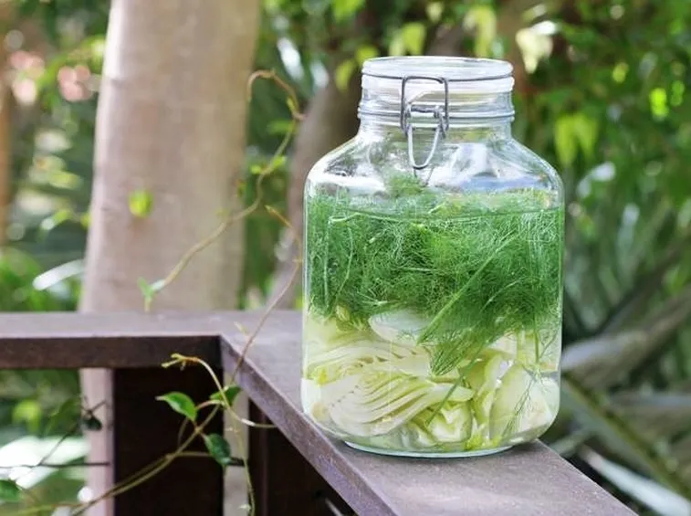 Infuso di finocchio