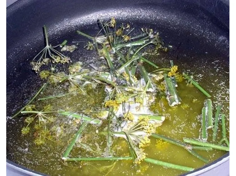 Infuso di finocchio