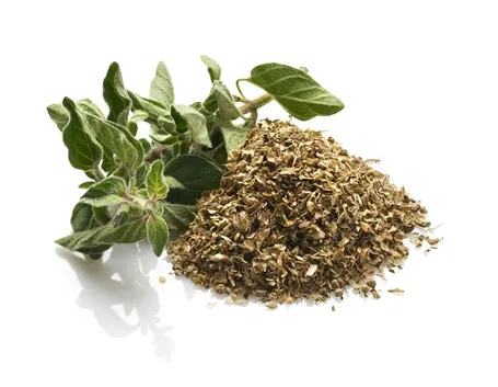 Foglie di origano fresche, ed essiccate, tramutate in spezia