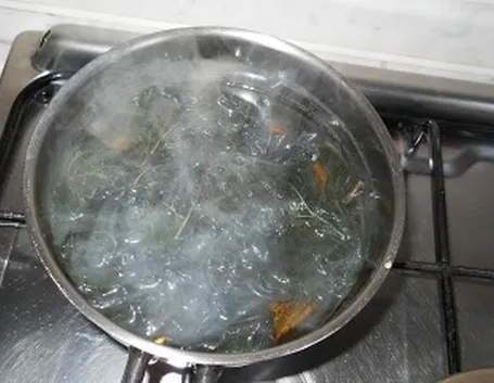 infusortica