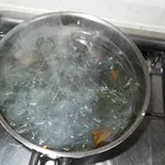 infusortica