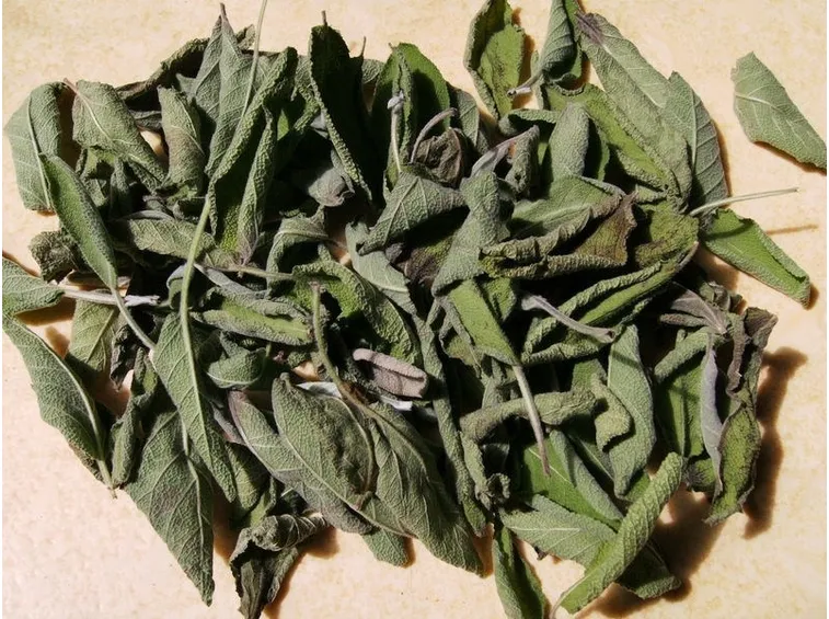 Foglie di salvia essiccate