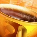 infusozenzero