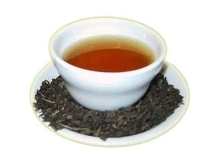 infusodrenante1