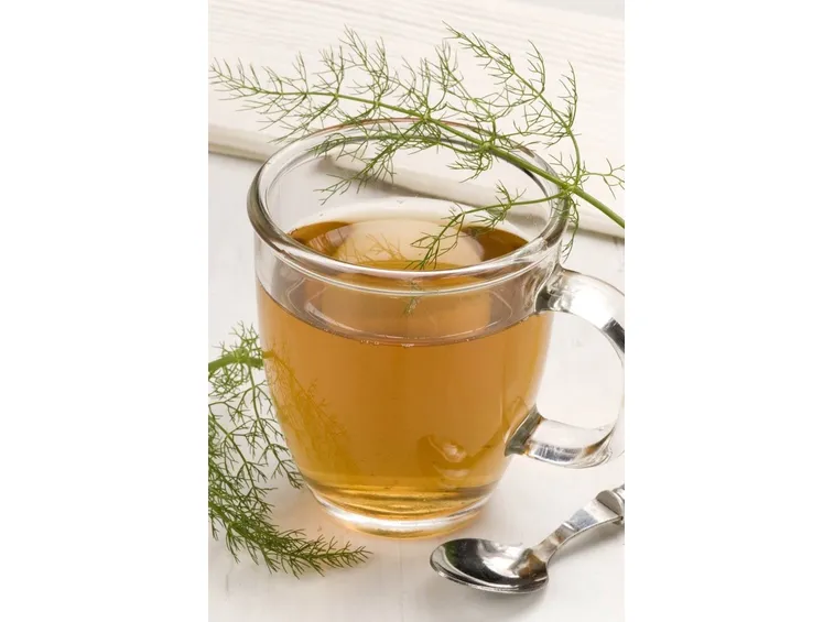 Infuso di finocchio