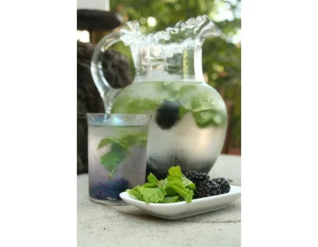 Un rinfrescante infuso alla menta con more
