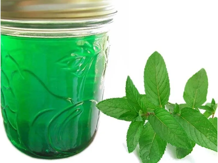 Il gelo alla menta può anche essere conservato in barattolo