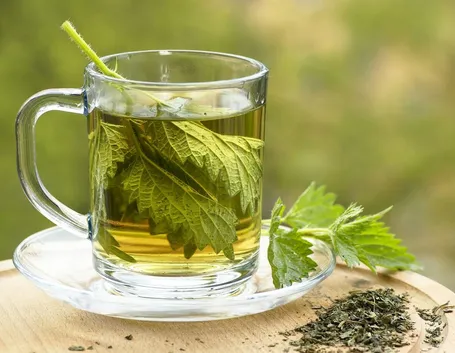 Infuso a base di foglie di ortica