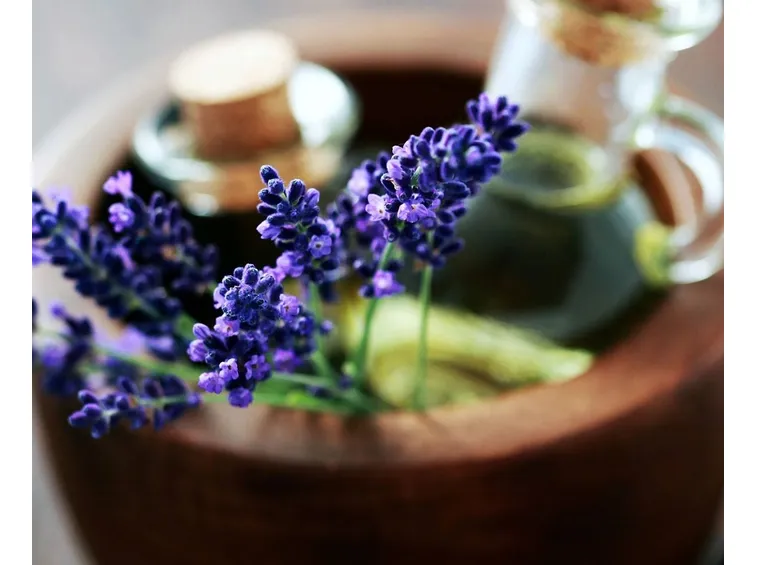 olio essenziale bio