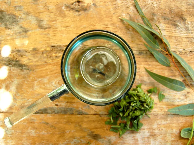 Preparazione dell'olio essenziale