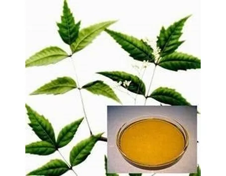 olio di neem e foglie
