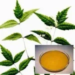 olio di neem e foglie