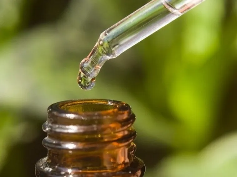 Olio essenziale di Eucalipto