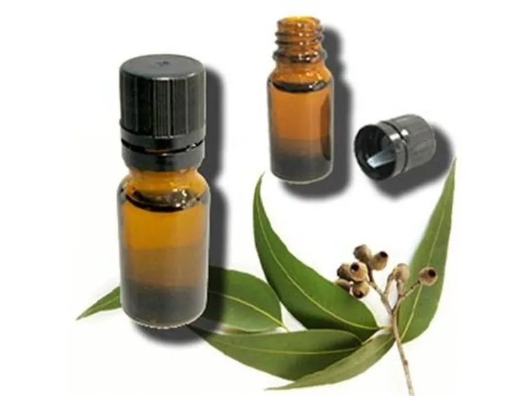 Olio essenziale all'eucalipto