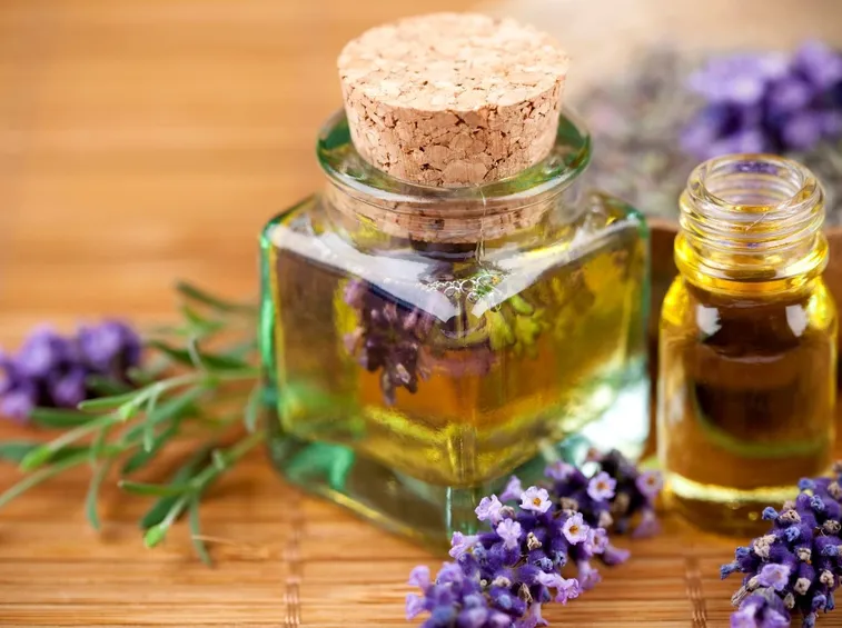 lavanda e olio essenziale