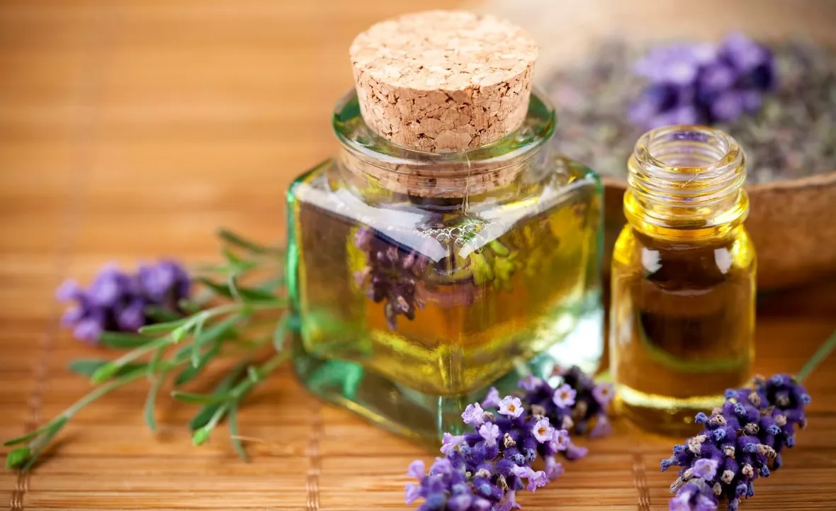 lavanda e olio essenziale