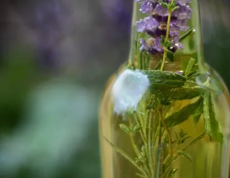 Olio essenziale di timo