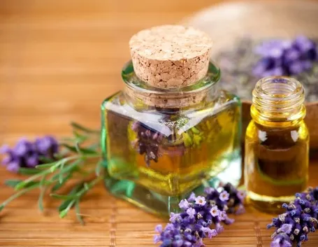 lavanda ed olio