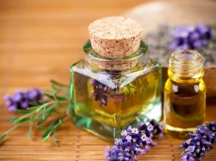 lavanda ed olio