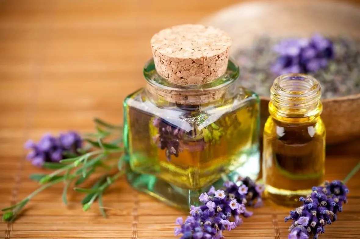 lavanda ed olio