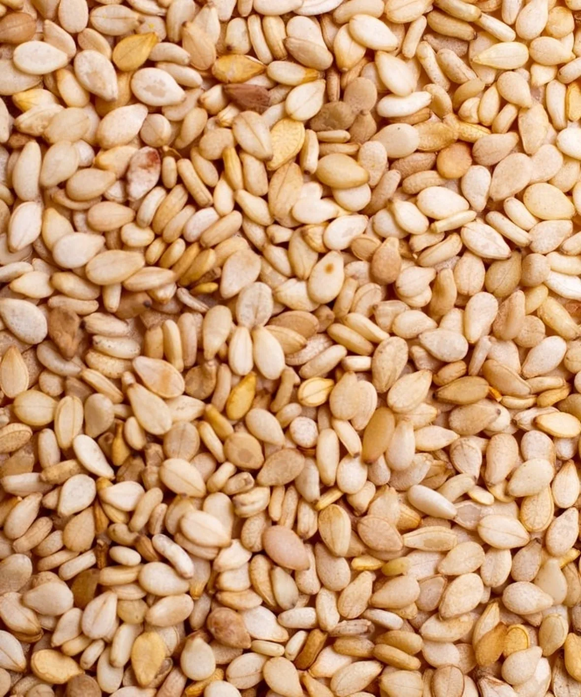 Semi di sesamo